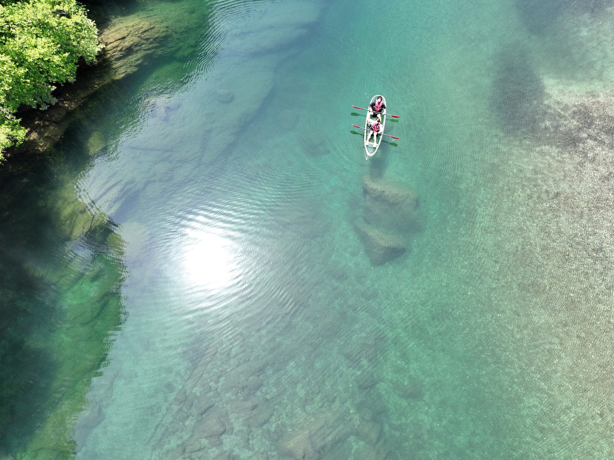 奇跡の透明度・仁淀ブルーの世界